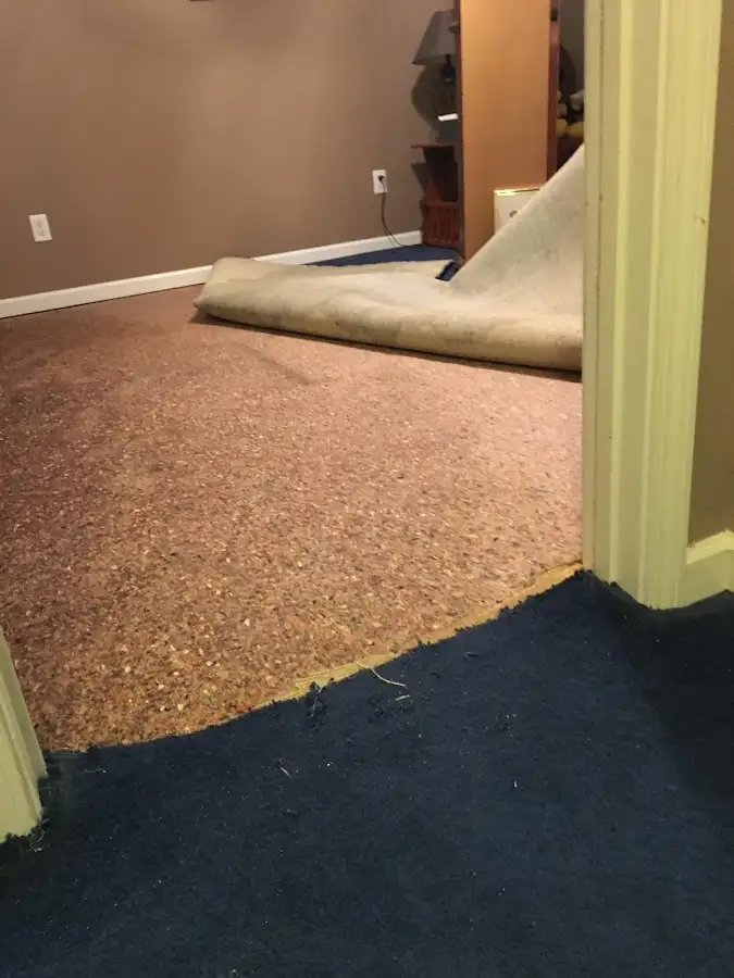 Carpet pad removal revealing water damage during Water Mitigation Services in Inverness